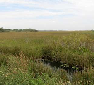 Überischt Everglades