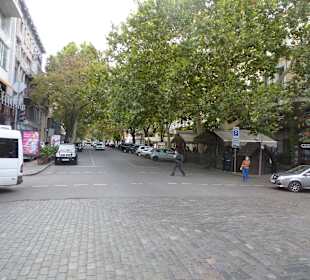 Viel Grün in den Straßen von Odessa