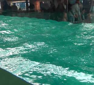 Meeresmuseum Stralsund