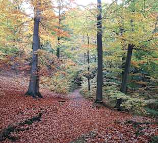 Wandern Meisdorf