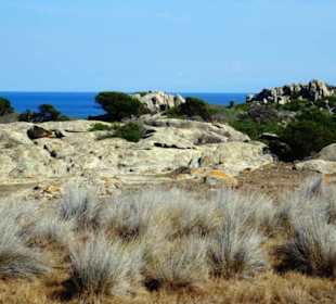 Landschaft auf Asinara