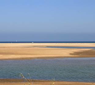 Blick in das Naturschutzgebiet
