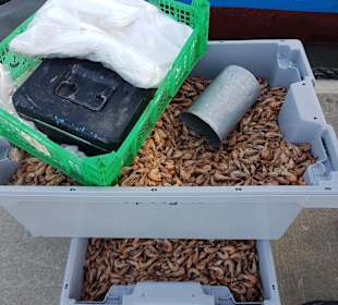 Fischereihafen Wremen