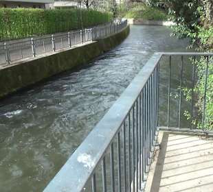 Bürgerpark Offenburg