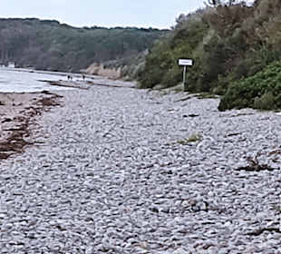 Strand Kühlungsborn