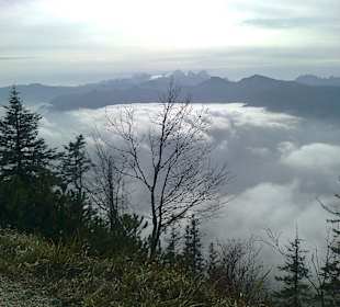 Ausblick