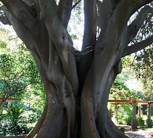 An Ihm sind noch Kutschen vorbeigefahren