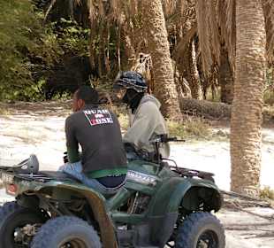 Quad-Tour mit Quad Zone