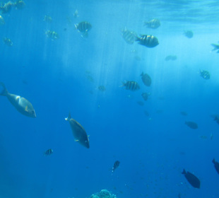 Unter Wasser