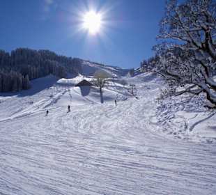 Abfahrt vom Skigebiet Mellau ins Tal