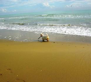 Am Ende von Bibione Yachthafengebiet