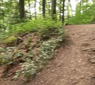 Hochgeträumt Premiumwanderung