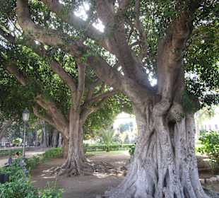 Park Giardino Garibaldi