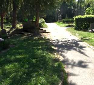 Friedhof Unterjesingen
