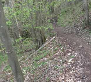 Wanderung rund um das Rusenschloss Gerhausen