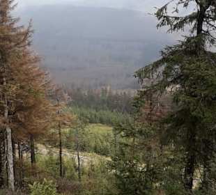 Oben auf dem Wurmberg
