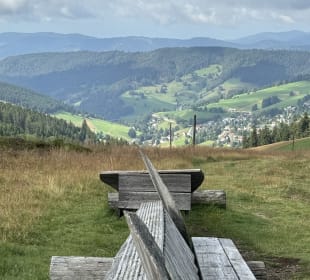 Wandern Todtnauberg 