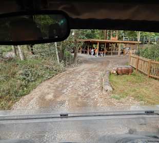 Fahrgeschäfte innen