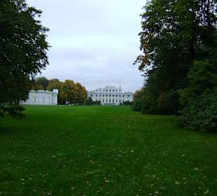Park Jełagina