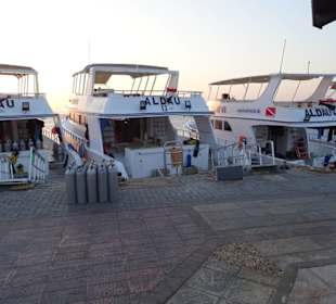 Welches Boot nehmen wir heute