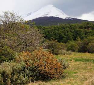 Nationalpark Tierra del Fuego