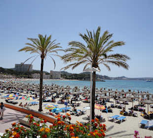 5-10 Minuten zum Strand