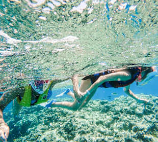 Schnorcheln Sahl Hasheesh