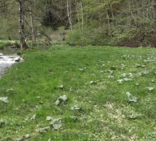 Wasserfall Hoher Gießel