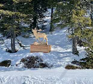 Wandern Schladming