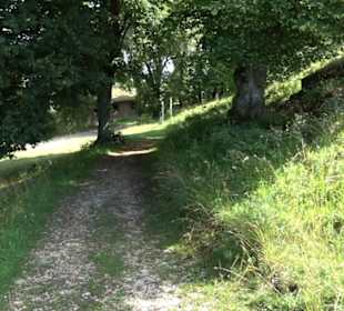 Burgruine Niederhaus