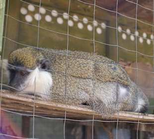 Jeep Safari - Stop auf Bauernhof Taurus Gebirge