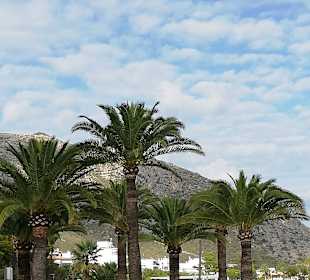 Wandern Port de Pollença / Puerto de Pollensa