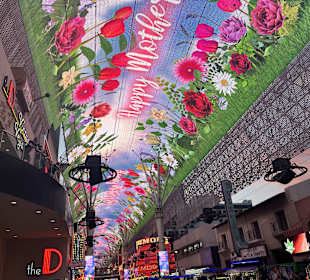 Fremont Street Experience