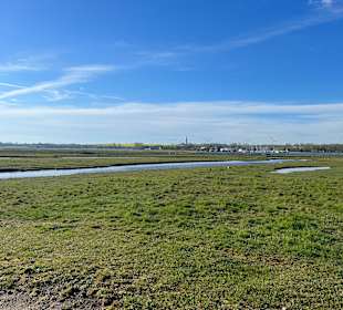 Naturschutzgebiet Graswarder