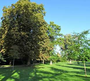 Impressionen aus dem Stadtpark von Lübeck