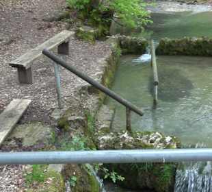 Wandertour durchs Reissenbachtal Oberhausen