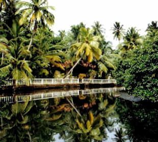 Wunderschöne Bootsfahrt