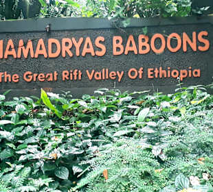 Singapur Zoo