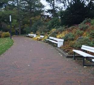 Parkanlage Planten un Blomen