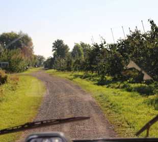 Weg durch die Obstplantagen