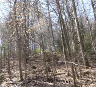 Spazierweg Ritter Museum