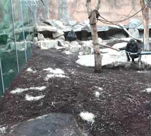 Tierpark Hellabrunn - Welt der Affen