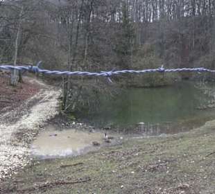 Wildpark Eichert