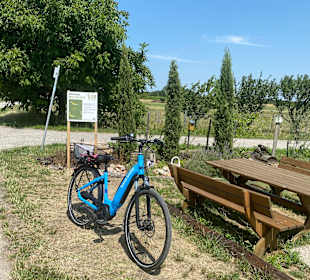Wandern Mörbisch am See