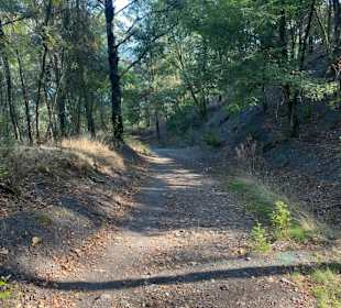 Nationalpark Hoge Kempen