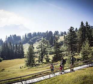 Traumhafte Aussichten beim Wandern