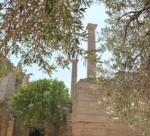 Zugang zur Akropolis