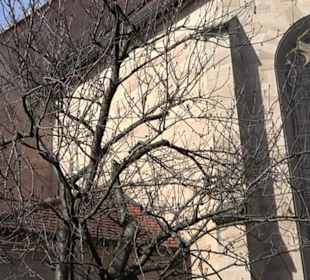 Katholische Kirche St. Ägidius