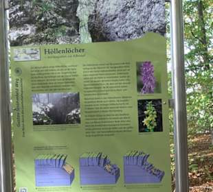 Höllenlöcher Hohenneuffen