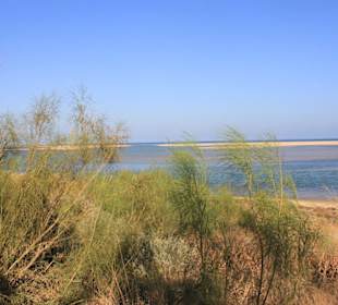 Blick in das Naturschutzgebiet